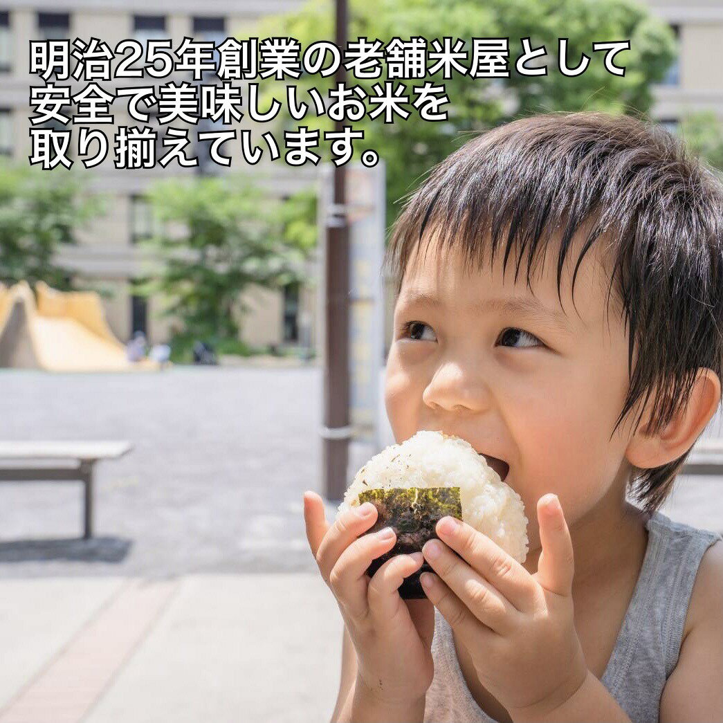 【令和7年産】 白米 千葉県産 コシヒカリ 特A米 かやの米 産地限定米 20kg 5×4袋 送料無料 watabun-10000009 わたぶん サンプル画像3