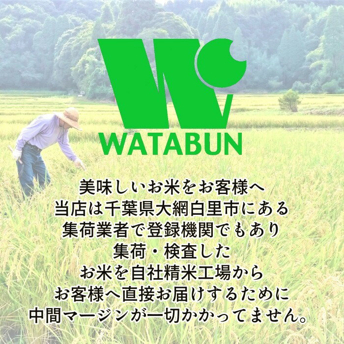 【令和7年産】 白米 千葉県産 コシヒカリ 特A米 かやの米 大網白里市 産地限定米 5kg 送料無料 美味しいお米
