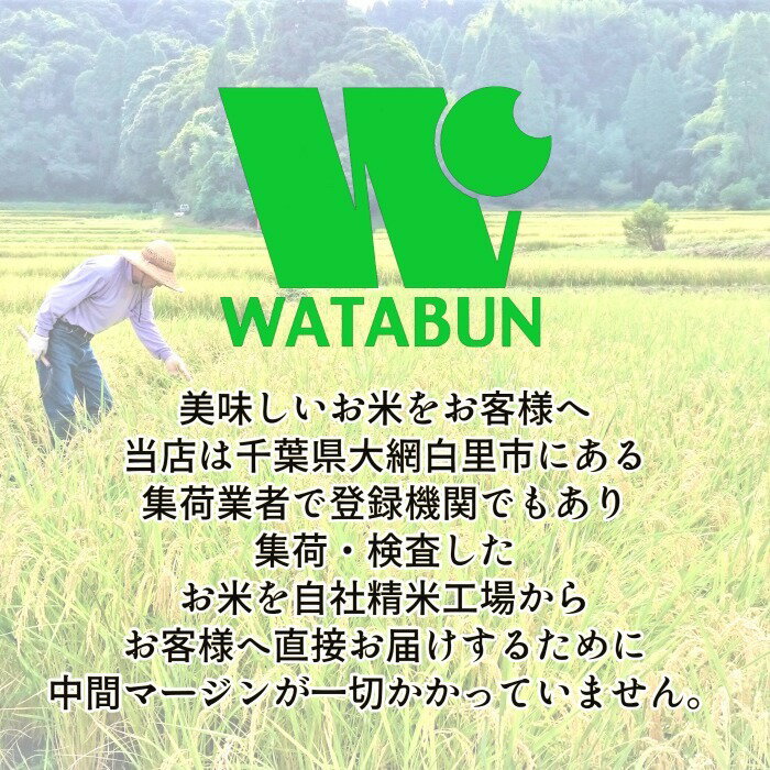 限定特価 【令和7年産】 白米 千葉県産 ふさこがね 5kg 送料無料 美味しいお米