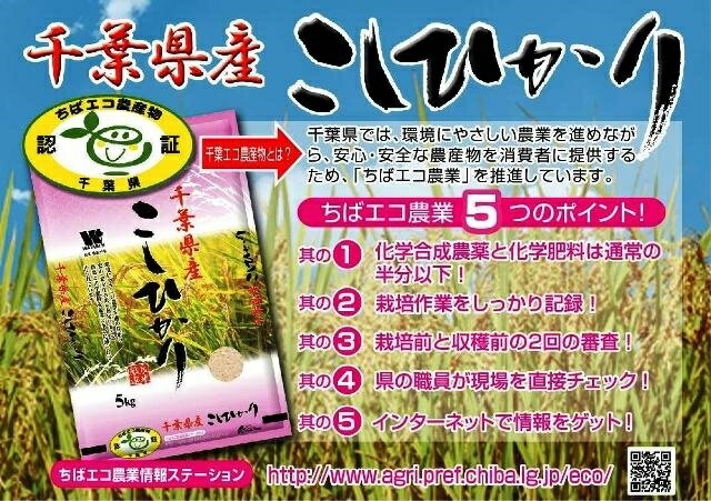 【令和7年産】 白米 千葉県産 エコ農産物 コ...の紹介画像2