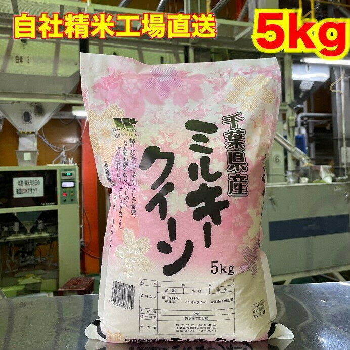 【令和4年産】　新米　白米　千葉県産　ミルキークイーン　5kg 美味しいお米　送料無料