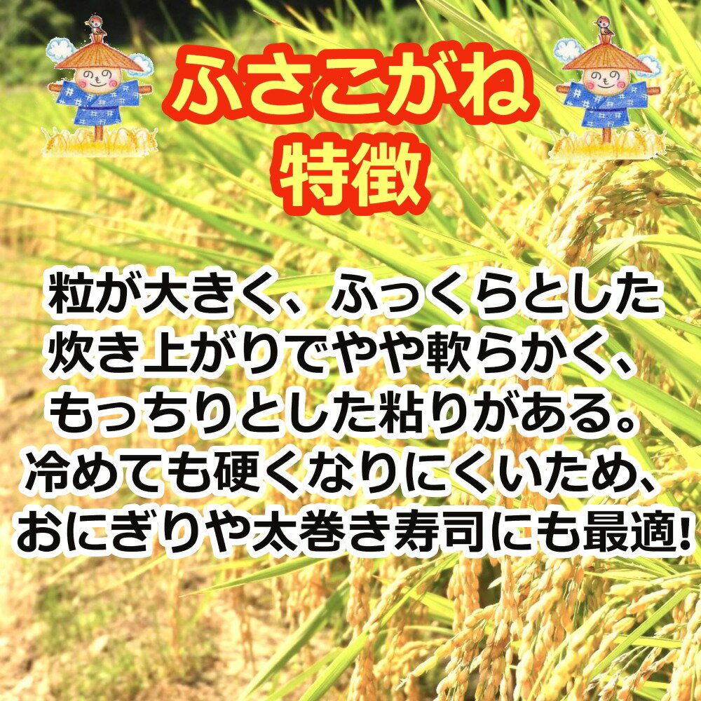 千葉県内の生産者から直接仕入れることによって流通コストを抑え、 年間を通じて安定した品質のお米をお届けいたします。　限定特価 【令和7年産】 白米 千葉県産 ふさこがね 5kg 送料無料 美味しいお米