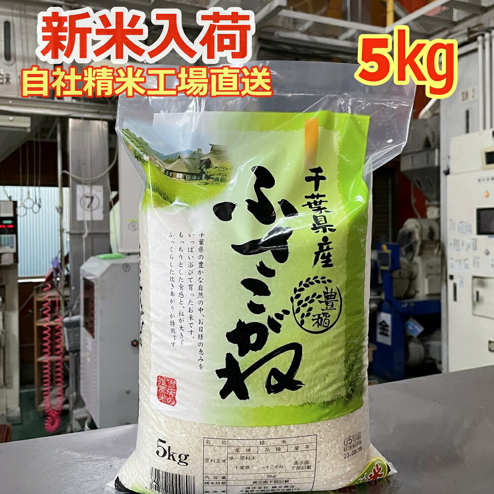 新米 【令和8年産】 白米 千葉県産 ふさこがね 5kg 送料無料 美味しいお米