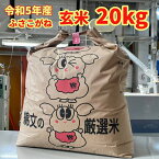 【令和5年産】 玄米 一等米 千葉県産 ふさこがね 20kg 美味しいお米 送料無料 千葉直送