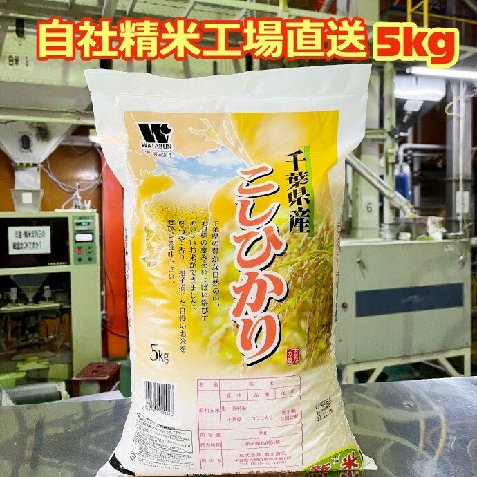 新米【令和6年産】 白米 千葉県産 コシヒカリ 特A米 大網白里市 5kg 送料無料 美味しいお米のサムネイル