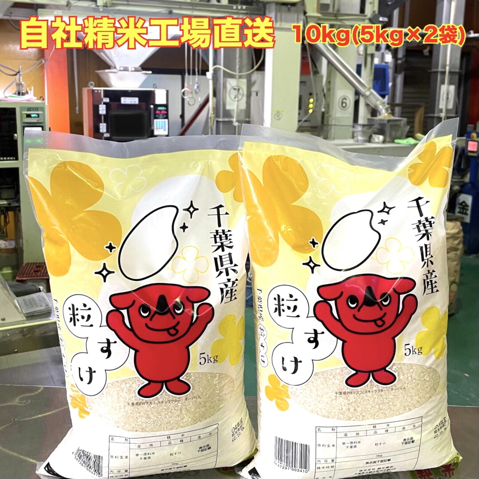 【令和5年産】 新米 白米 千葉県産 粒すけ 10kg （5kg×2）チーバ君 千葉の美味しいお米 送料無料のサムネイル