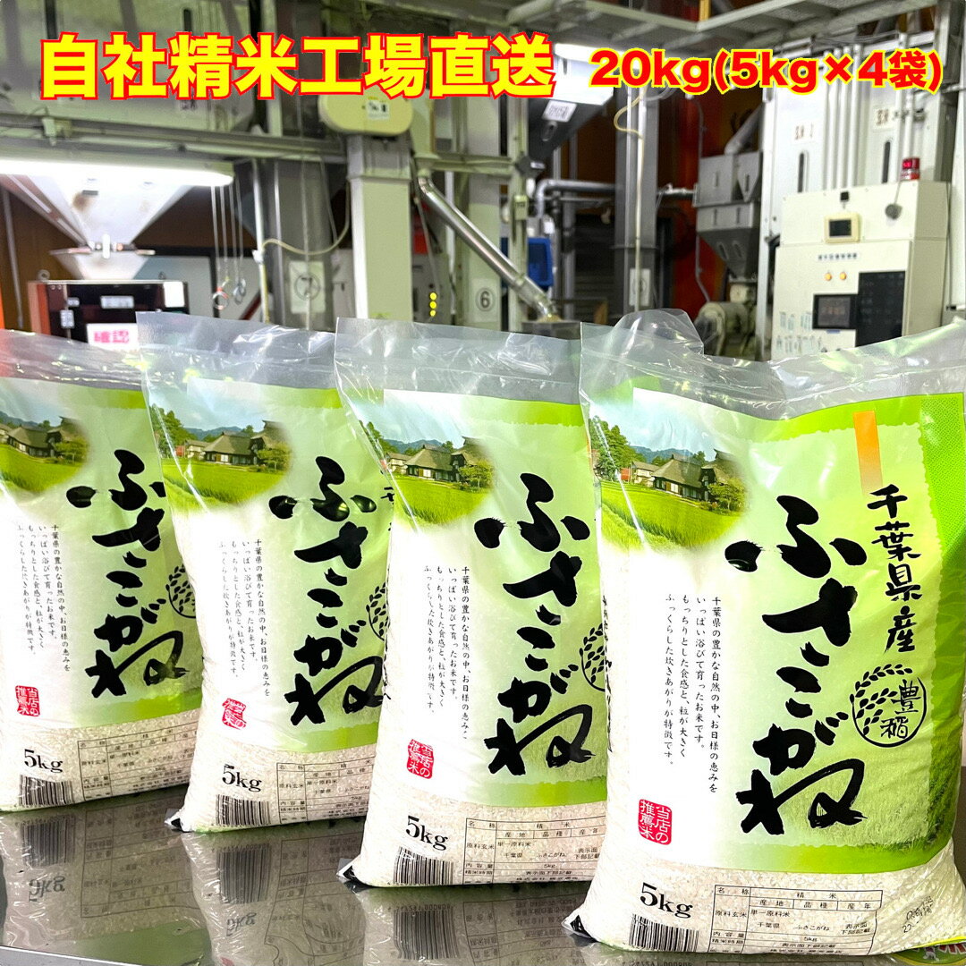 【令和7年産】 白米 千葉県産 ふさこがね 20kg 5kg×4 送料無料