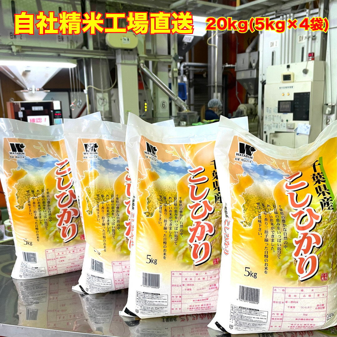 人気ランキング第35位「わたぶん」口コミ数「2件」評価「5」【令和5年産】 白米 千葉県産 コシヒカリ特A米 大網白里市 20kg 5kg×4 送料無料 美味しいお米