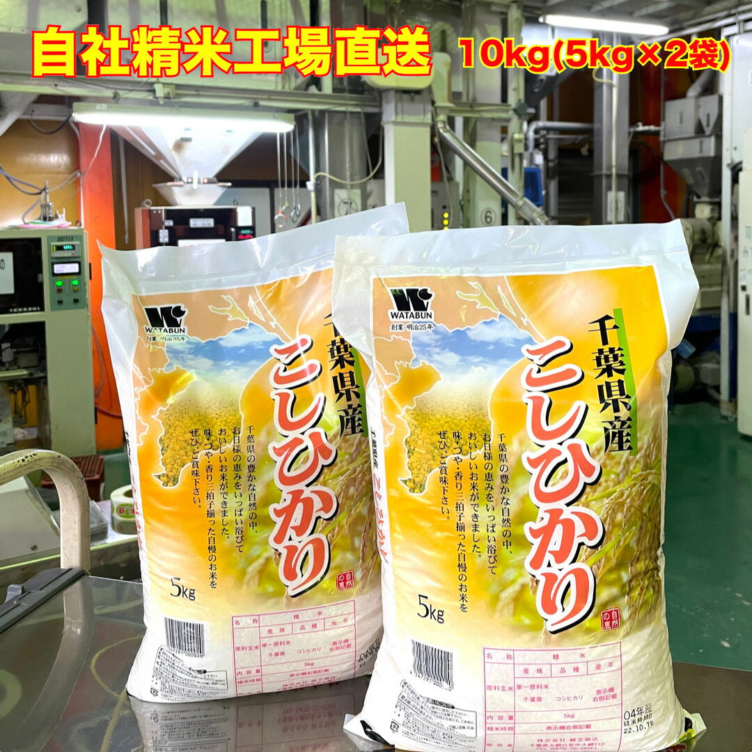 人気ランキング第31位「わたぶん」口コミ数「2件」評価「5」【令和5年産】 白米 千葉県産 コシヒカリ 特A米 大網白里市 10kg 5kg×2 送料無料 美味しいお米