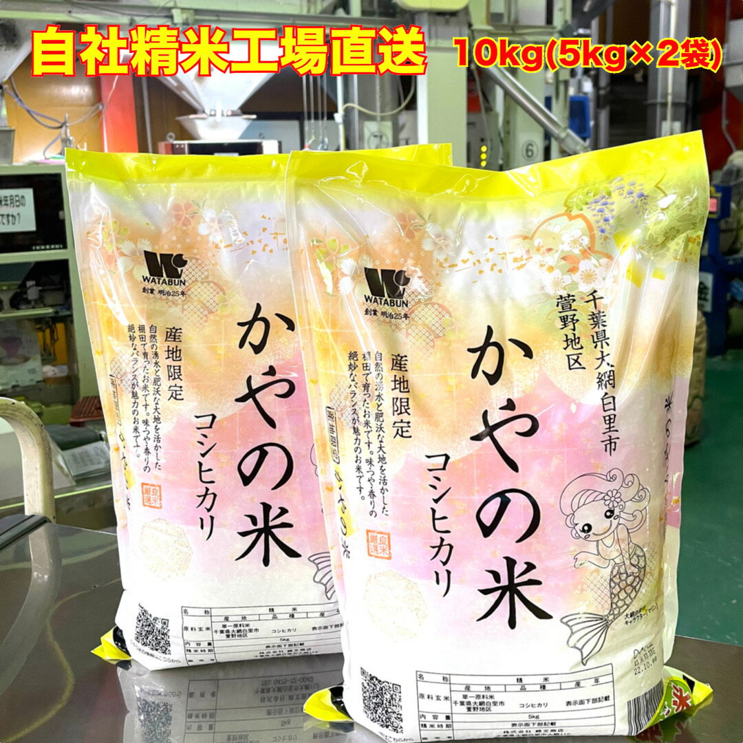 新米【令和6年産】 白米 千葉県産 コシヒカリ 特A米 かやの米 大網白里市 産地限定米 10kg 5kg×2 送料無料