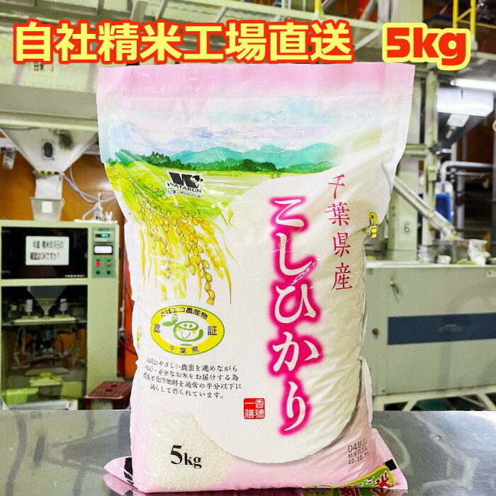 【令和7年産】 白米 千葉県産 エコ農産物 コシヒカリ 特A米 産地限定米 5kg 送料無料 美味しいお米 千..