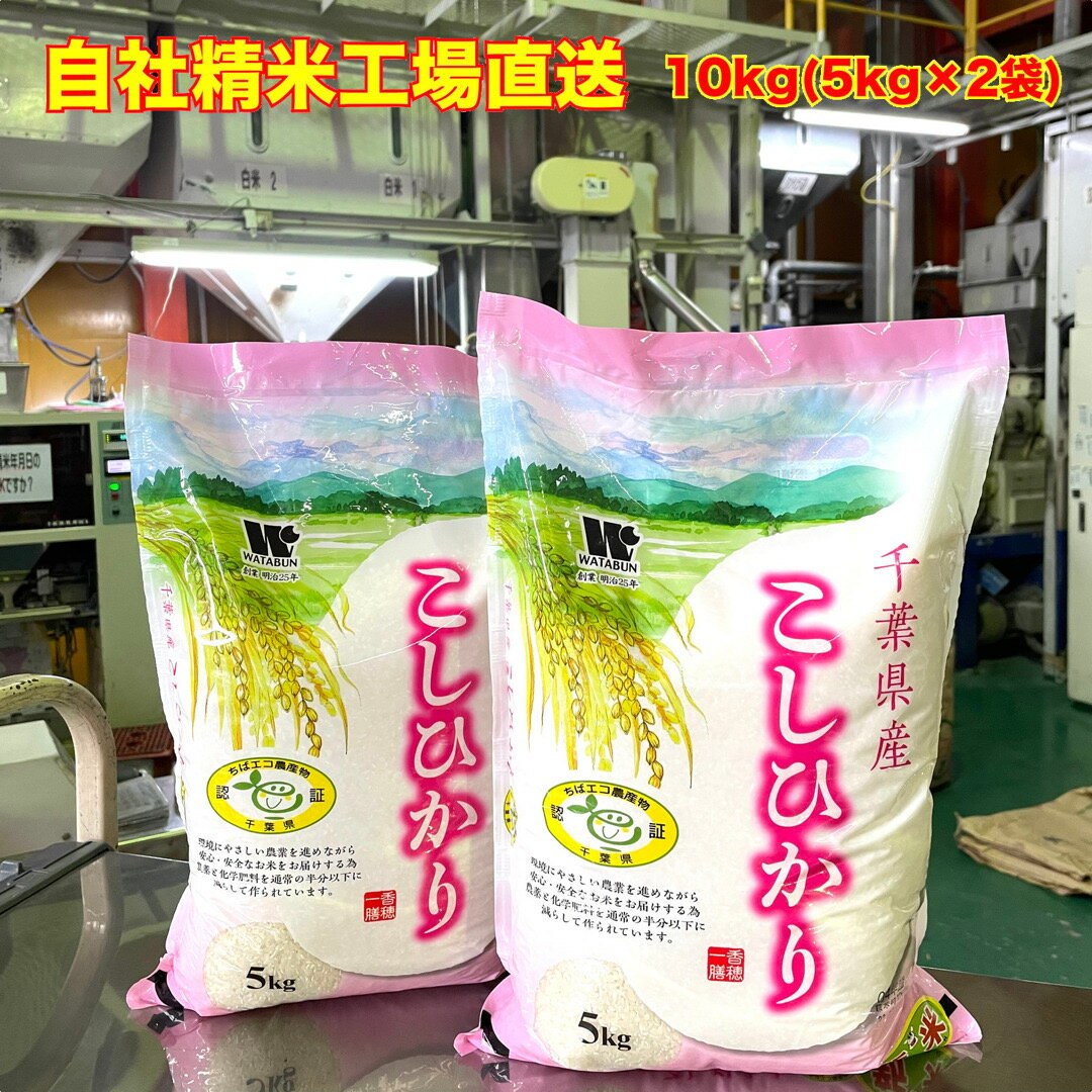 【令和7年産】 白米 千葉県産 エコ農産物 コシヒカリ 産地限定米 10kg 5kg×2 送料無料