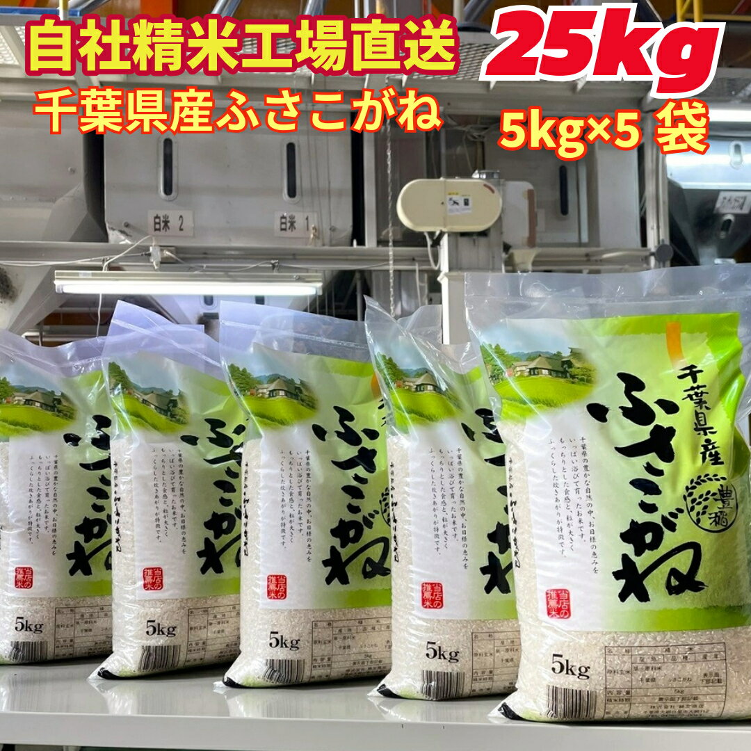 【令和7年産】 白米 千葉県産 ふさこがね 25kg （5kg×5） 送料無料 美味しいお米