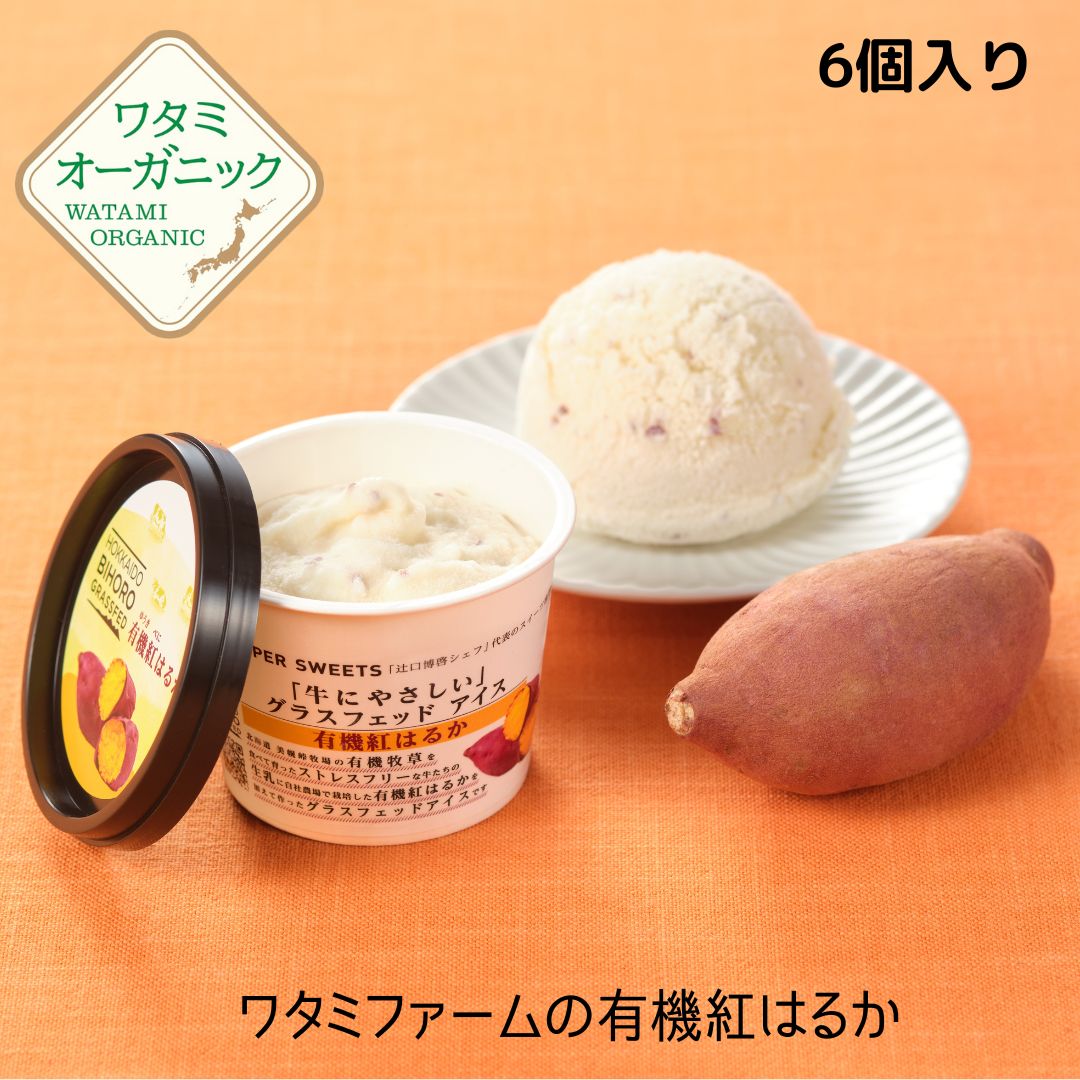 お買い物マラソン【ポイント10倍】 美幌グラスフェッドアイス 有機紅はるか 6個入 送料込 アイスクリーム さつまいもアイス ワタミ グラスフェッド 110ml×6個 北海道美幌峠 牧場 オーガニック 有機さつまいも グラスフェッドミルク 卵不使用 化学添加物不使用のサムネイル