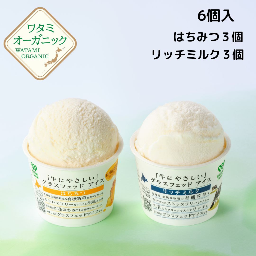 お買い物マラソン【ポイント10倍】 【新発売】美幌グラスフェッドアイス （はちみつ3個 リッチミルク3個）合計6個 送料込 アイスクリーム 山田養蜂場コラボ 蜂蜜 濃厚ミルク ワタミ グラスフェッド 110ml×6個 北海道美幌峠 グラスフェッドミルク 卵不使用のサムネイル