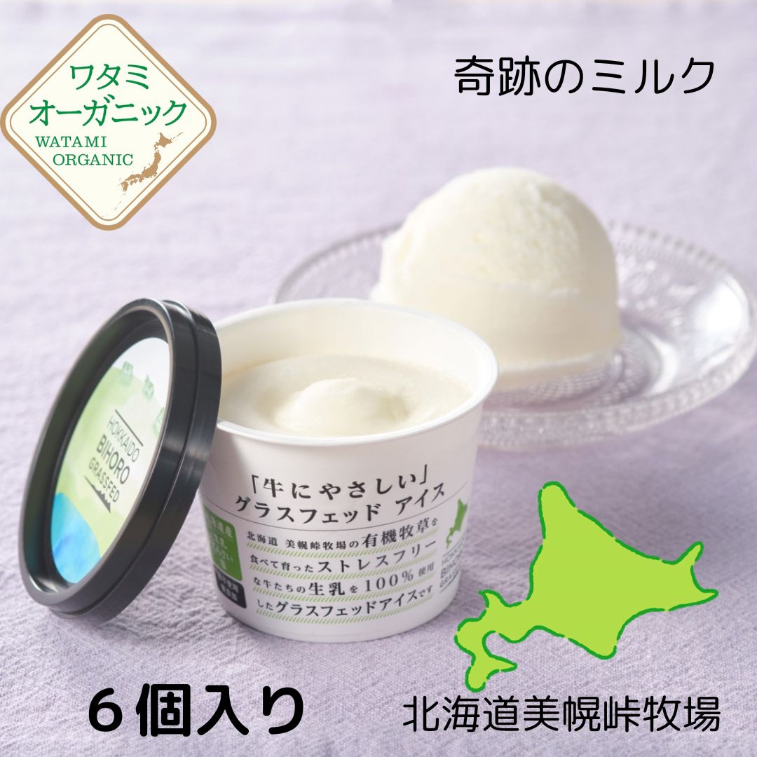 美幌グラスフェッドアイス 6個セット 【送料込】 110ml×6個 北海道美幌峠牧場 牛に優しい 放牧飼育 グラスフェッドミルク アイス アイスクリーム 栄養価高い 生乳本来の味わい なのにさっぱり。卵不使用 化学添加物不使用 ローカロリー ヘルシー グラスフェッドのサムネイル