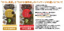 (送料無料)3品選べるからし高菜セット(辛子たかな 高菜油炒め 九州特産 ごはんのお友 1000円 ポッキリ ぽっきり)(メール便発送で全国一律送料無料) 3