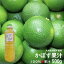 かぼす果汁 500g（搾りたて生果汁）（九州産カボス果汁100％ カボスジュースに 大分特産 業務用食材）