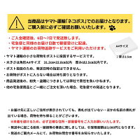 【ネコポス無料】【洗える腕時計ベルト】バンビウォッシャブルベルト清潔洗える本革日本製10mm〜22mm全7色牛革BCA060メンズレディース替ベルトBAMBI腕時計【簡易工具・マニュアル付属】