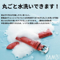 ばんびちゃん
