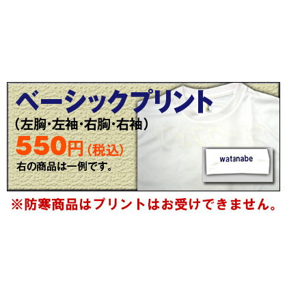 【代引き不可】 プリント550円(税込)