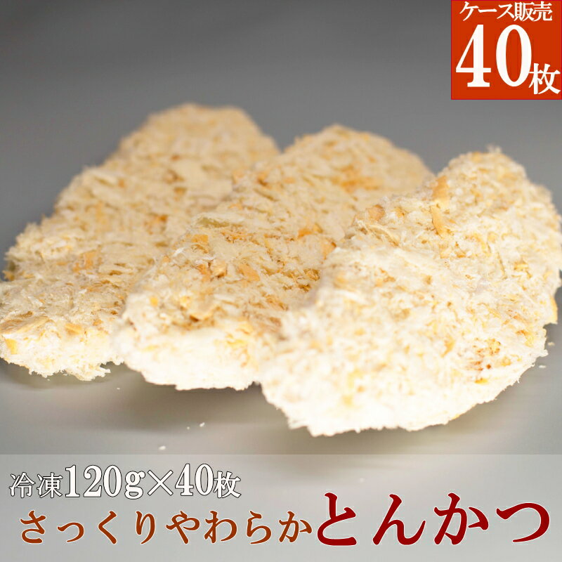 【送料無料】業務用 ケース販売 とんかつ 冷凍 米久 さっくりやわらか とんかつ 1枚 120g 40枚 20枚 2ケース トンカツ サクサクの衣とやわらかジューシーな味わい パン粉