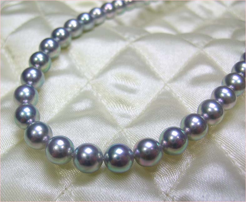 �����١�������ѡ���ͥå��쥹 10P08mar10