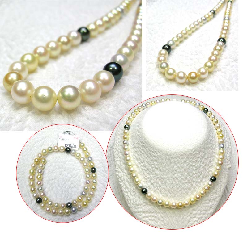 �ޥ�����顼������ѡ���ͥå��쥹