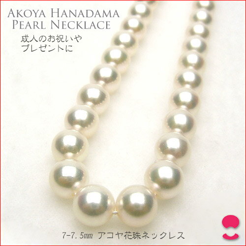 7−7��5�ߥꡡ�����俿��ͥå��쥹 10P20Feb09