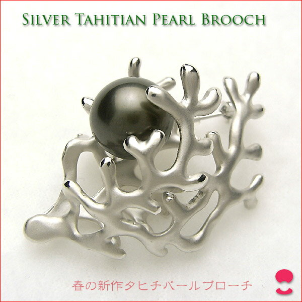 ����С����ҥ��ѡ���֥������������ҥ�������������ޤ줿�ǥ������ 0619PUP10JU