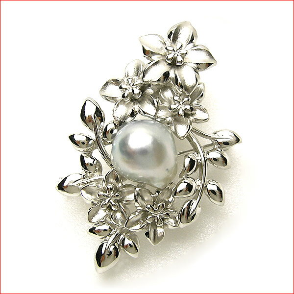 ����С� ���ե���������ա�������ѡ��롡�֥����� 10P12feb10 ������̵��100215��