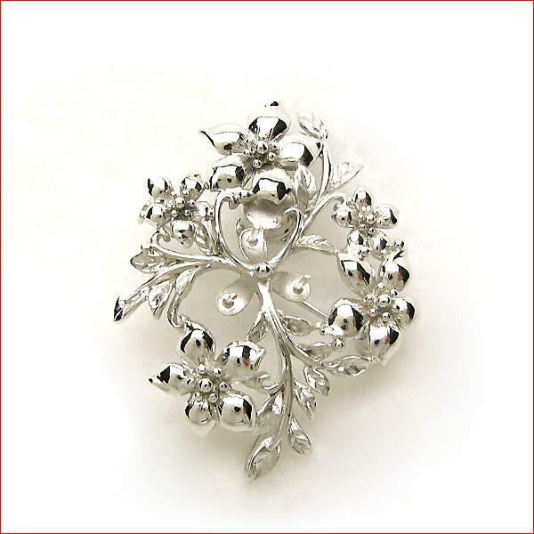 ����С� ���ե���������ա��ѡ��롡�֥�������