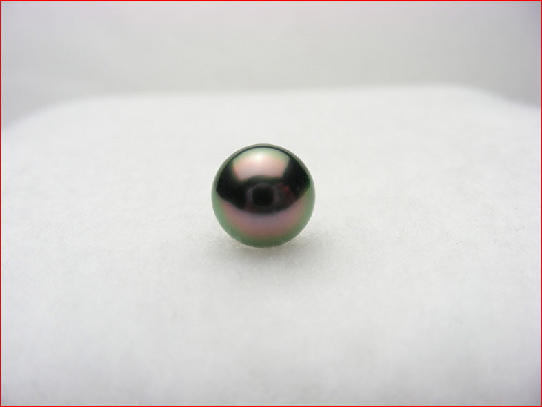 なかなかお目にかかれない でもまた幸運にもご紹介できます！ ピーコックカラーの最高品質 9.1ミリ いつまでもながめていたい！