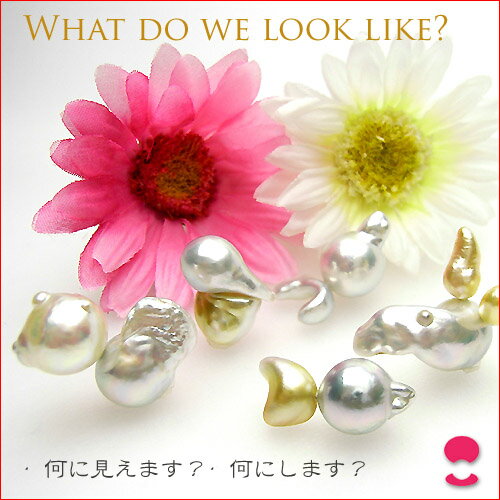 ���˸����ޤ������ʥ����륫�顼�ѡ��� �롼���ʥ����俿������ο���Υ��奨�꡼��