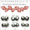 テリテリのケシパールペアルース 【smtb-TK】