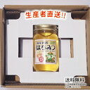 令和5年度産 国産 純粋 はちみつ【送料無料】300g（みかん畑から届きました） 日本製 はちみつ ハチミツ ハニー HONEY 蜂蜜 瓶詰 生産者直送 愛媛県産 国産蜂蜜 国産ハチミツ 送料無料