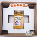 令和6年度産 国産 純粋 はちみつ【送料無料】300g(れんげ畑から届きました) 日本製 はちみつ ハチミツ ハニー HONEY 蜂蜜 瓶詰 生産者直送 愛媛県...