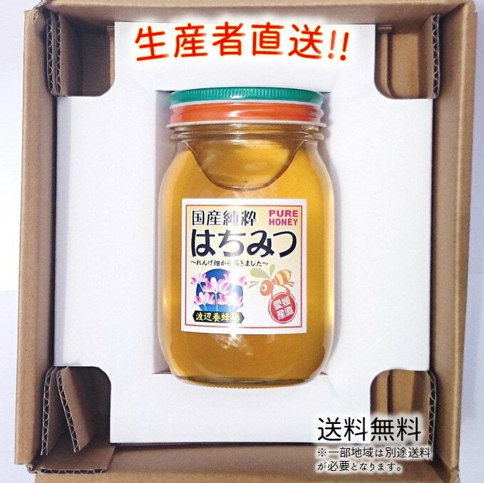 令和5年度産 国産 純粋 はちみつ【送料無料】600g（れんげ畑から届きました） 日本製 はちみつ ハチミツ ハニー HONEY 蜂蜜 瓶詰 生産者直送 愛媛県産 国産蜂蜜 国産ハチミツ 送料無料