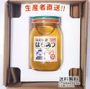 令和4年度産 国産 純粋 はちみつ【送料無料】600g（れんげ畑から届きました） 日本製 はちみつ ハチミツ ハニー HONEY 蜂蜜 瓶詰 生産者直送 愛媛県産 国産蜂蜜 国産ハチミツ 送料無料