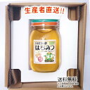 令和5年度産 国産 純粋 はちみつ【送料無料】600g みかん畑から届きました 日本製 はちみつ ハチミツ ハニー HONEY 蜂蜜 瓶詰 生産者直送 愛媛県産 国産蜂蜜 国産ハチミツ 送料無料