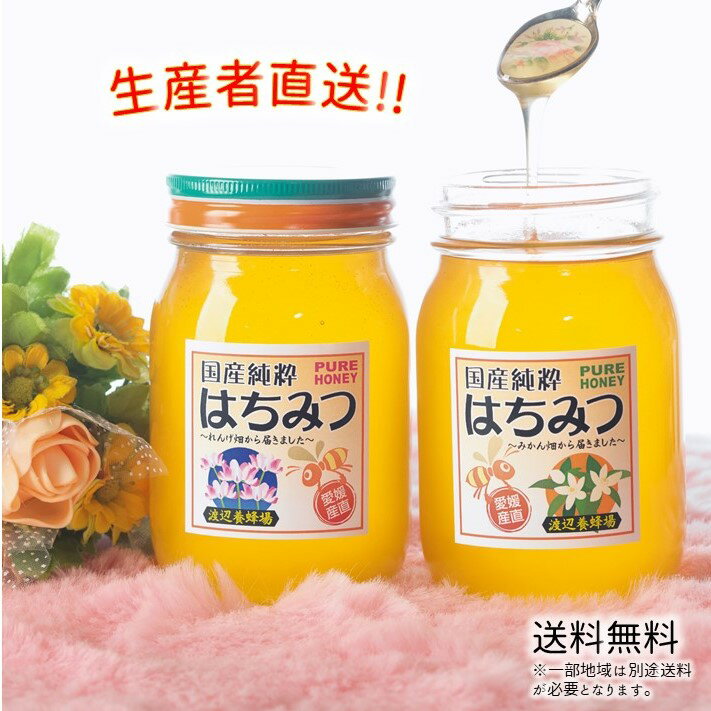 令和5年度産 国産 純粋 はちみつ【送料無料】600g2本セット（れんげ畑から届きました／みかん畑から届..