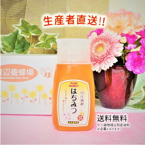 令和4年度産 国産 純粋 はちみつ【送料無料】使いやすい便利容器300g（れんげ畑から届きました） 日本製 はちみつ ハチミツ ハニー HONEY 蜂蜜 プラ容器 生産者直送 愛媛県産 国産蜂蜜 国産ハチミツ 送料無料