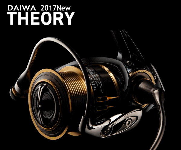ダイワ17セオリー2004