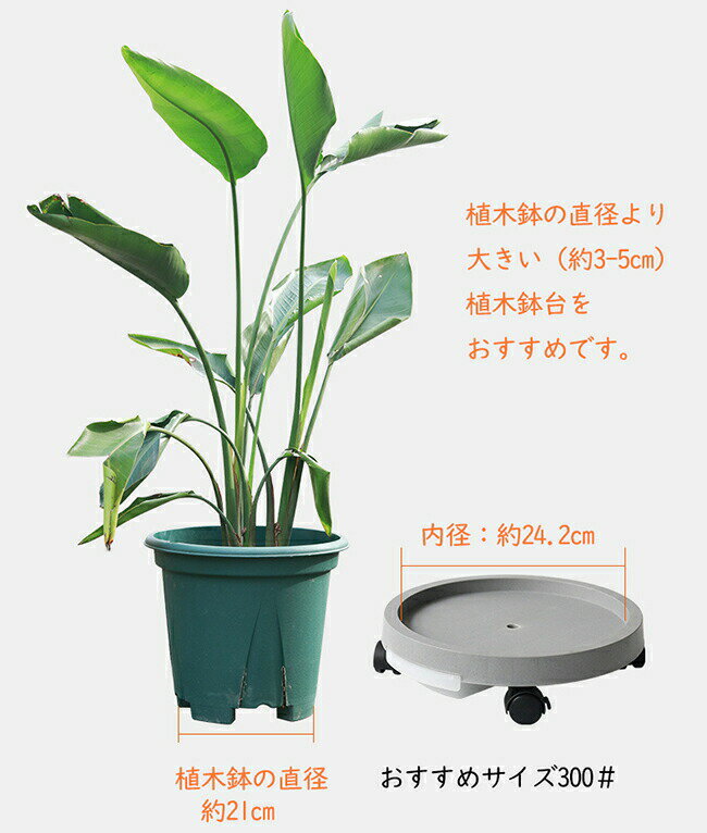 【新店12％OFFクーポン】植木鉢台 キャスター付き 受け皿付き 丸型 鉢置き 鉢台 鉢...