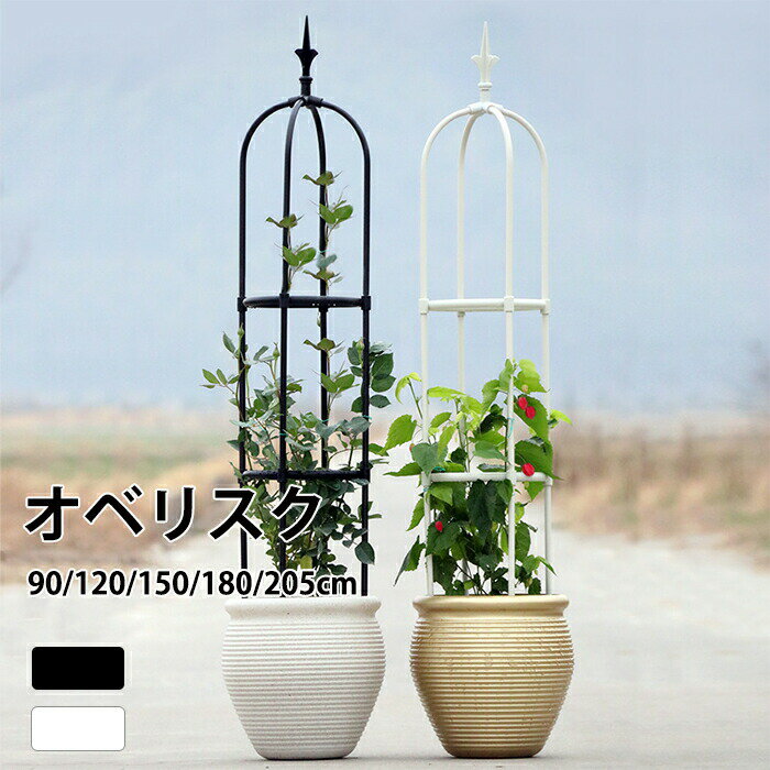 楽天市場】トレリス アイアン 180cmの通販