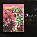 選べるギフト ドゥオーレ 全15コース バリエーションに富んだ、 魅力的な品揃えと選ぶ楽しさを重視したカタログ。 ライフスタイルを彩るとっておきのギフトが揃います。 様々なギフトにおすすめです 内祝い / 内祝 / お礼 / 御礼 / 入学祝い / 成人祝い / 就職祝い / 新築祝い / 出産祝い / 還暦祝い / 引っ越し祝い / 開店祝い / 栄転・昇進・定年退職 / 誕生日 / 母の日 / 父の日 / 敬老の日 /お歳暮 / お中元 / 香典返し / 快気祝い / 快気内祝い / 成人内祝い / 就職内祝い / 新築内祝い / 出産内祝い / 結婚内祝い / 結婚引出物 / ゴルフ 景品 / 二次会 景品 類似商品はこちら送料無料 カタログギフト ドゥオーレ 内祝い 4,180円送料無料 カタログギフト ドゥオーレ 内祝い 7,480円送料無料 カタログギフト ドゥオーレ 内祝い 55,880円送料無料 カタログギフト ドゥオーレ 内祝い 5,280円送料無料 カタログギフト ドゥオーレ 内祝い 11,880円送料無料 カタログギフト ドゥオーレ 内祝い 14,080円送料無料 カタログギフト ドゥオーレ 内祝い 3,080円送料無料 カタログギフト ドゥオーレ 内祝い 28,380円送料無料 カタログギフト ドゥオーレ 内祝い 22,880円新着商品はこちら2023/11/25プチギフト お菓子 退職 結婚式 アウトドア 379円2023/11/25名入れ刻印OK 電池1本付 フォトフレーム 時3,960円～2023/11/23入れたまま操作できる スマホショルダー ポーチ2,000円再販商品はこちら2023/11/28名入れ刻印OK 電池1本付 フォトフレーム 時3,564円～2023/11/25フリー台紙リフィル バインダー式アルバム リフ880円2023/11/22メール便 送料無料 結婚証明書 キリスト教式 2,750円2023/12/01 更新 DUXOLEドゥオーレ カタログギフト 《 33,880円 》 商品名 カタログギフト ドゥオーレ セーブル 【33,880円】 掲載数272ページ/約365アイテム 発送ご注文から3営業日後の発送。ラッピング・熨斗ありの場合、5営業日程かかります。