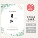 メール便送料無料 【名入れ無料】 赤ちゃん 命名書 オーダー 命名紙 ボタニカル ベビーポスター 用紙のみ 漢字 ローマ字 身長 体重 A4 命名 おしゃれ 誕...