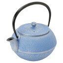 南部鉄器 ティーポット 霰(あられ) 大空 500ml【私の部屋限定カラー】(3)