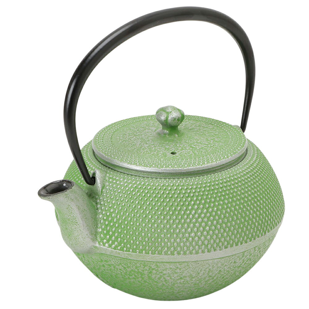 南部鉄器 ティーポット 霰(あられ) 草原 500ml【私の部屋限定カラー】