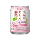 チョーヤ梅酒 CHOYA さらりとした梅酒 スパークリング 缶 250ml 【同一規格24本まで1個口送料】